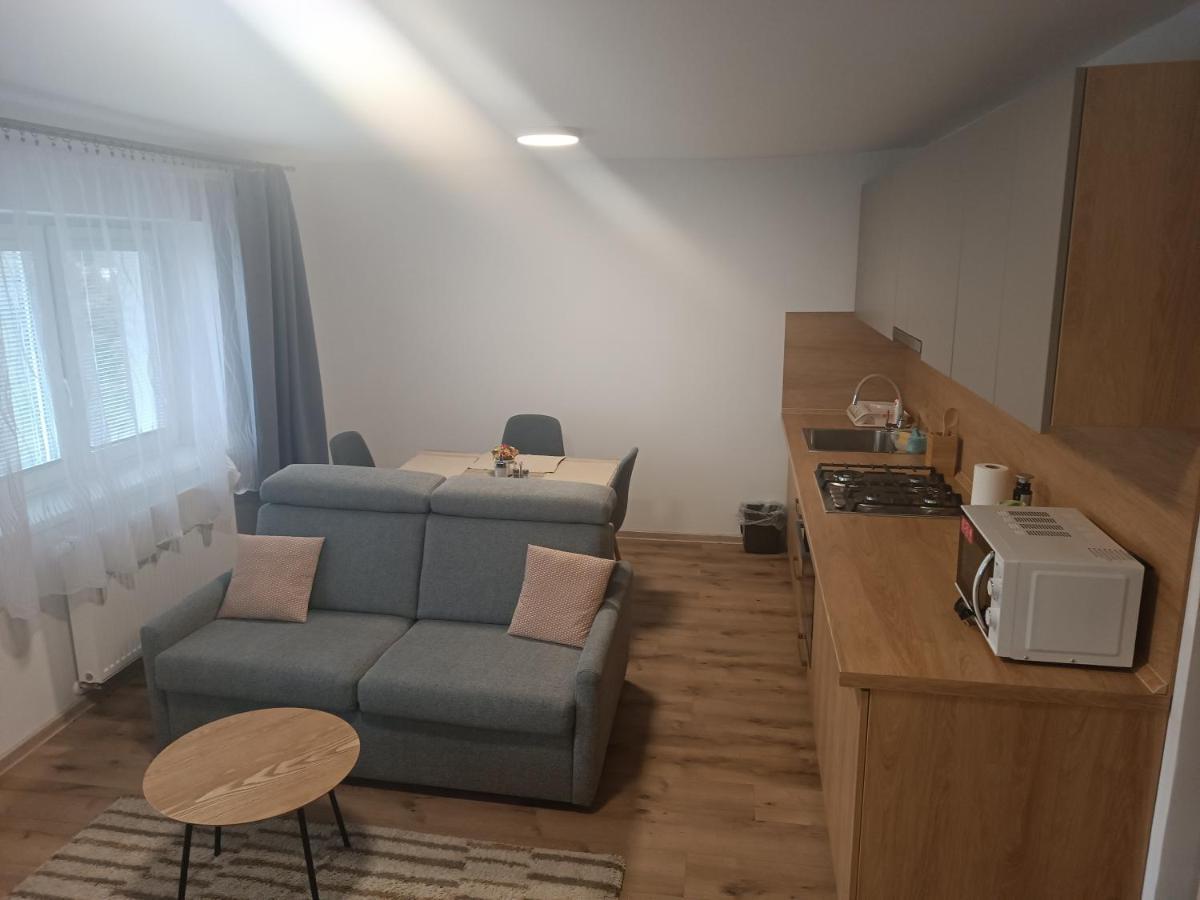 Apartmany Vila Juraj 트렌시안스케테플리스 외부 사진