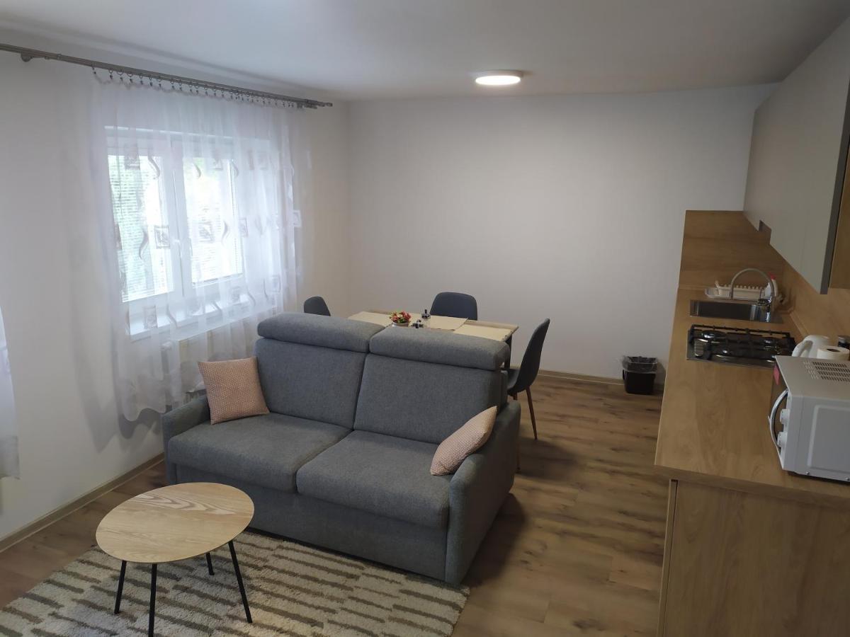 Apartmany Vila Juraj 트렌시안스케테플리스 외부 사진